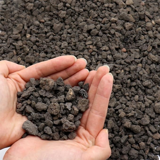 Volcanic Rock for Plants. Black Color Lava Rock. 1/5 Inch - 10 lbs for Potting Soil, Succulents, Pots, Plants, Gardening, Indoor, Crafting, Vase Fillers (Mini, Horticultural - Black Lava, 10)