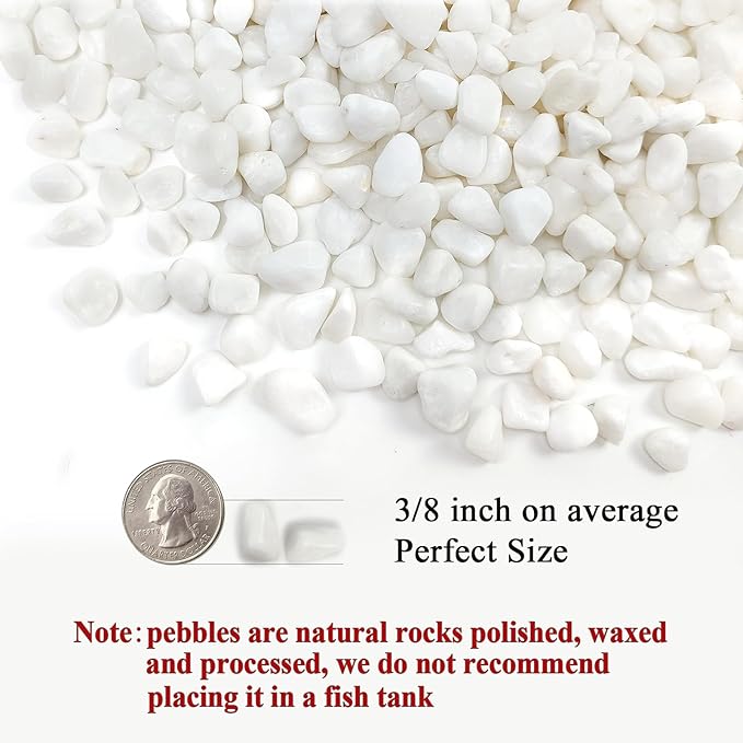 FANTIAN White Pebbles for Indoor Plants, 3/8 Inch Decorative White Stones. Polished River Rocks for Potted Plants Vase Cactus Bird Bath and Outdoor Garden Landscaping