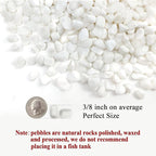 FANTIAN 10 lbs White Pebbles for Indoor Plants, 3/8 Inch Decorative White Stones. Polished River Rocks for Potted Plants Vase Cactus Bird Bath and Outdoor Garden Landscaping