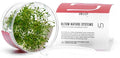Ultum Nature Systems Glossostigma Elatinoides Tissue Culture Live Plant for Aquarium, Aquascape, Freshwater Fish Tanks - 100% Snail Free in Vitro