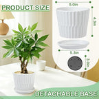 sietpoek Plant Pots - 5.5 Inch Cylinder Ceramic Planters with Connected Saucer, Pots for Succuelnt and Little Snake Plants, Set of 4, White