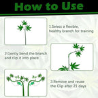 40 Pack LST Plant Training Clips – Durable & Reusable Stem Support for Low-Stress Training – Fits All Growth Stages