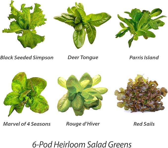 AeroGarden Mixed Romaine Lettuce Seed pod Kit, 6-Pod