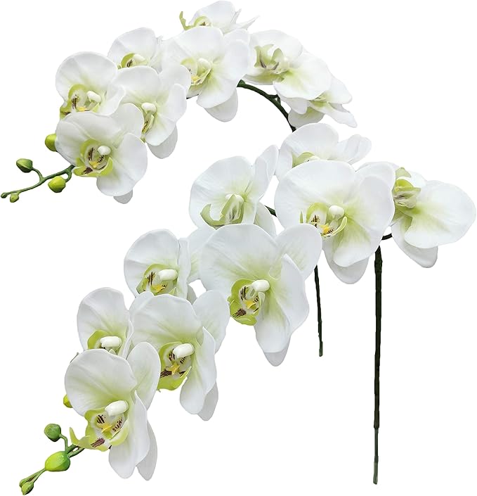 Fnize Faux Orchid Stems Real Touch Artificial Phalaenopsis Flowers Latex Petals 38 Inches 2pcs (Green White)