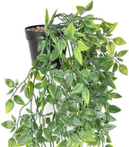 BLEUM CADE Fake Hanging Plants, 2pcs Artificial Hanging Potted Plant, Faux Mandala Vines Hanging Plant Greenery for Wall Shelf Home Living Room Indoor Outdoor Decor