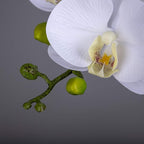 Fnize Orchid Stems Artificial Flowers Real Touch Latex Faux Phalaenopsis Branches 9 Large Blooms 38 Inches 2pcs White