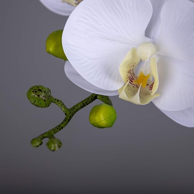 Fnize Orchid Stems Artificial Flowers Real Touch Latex Faux Phalaenopsis Branches 9 Large Blooms 38 Inches 2pcs White