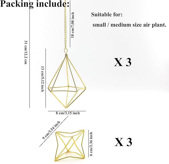 Air Plant Hangers with Chains, 6 Pcs Gold Tillandsia Holders for Wall/Ceiling Decor, 3 Hangers + 3 Stands Set, Boho Indoor Home Office Display, Modern Air Fern Plant Décor