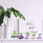 4 Pieces Tillandsia Air Plant Crystals Holder Small Air Plant Pot for Air Plants Home Decor Display (Air Plant Not Included)