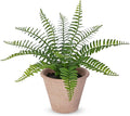 Artificial Boston Fern Potted Plant, 9" Small Fake Plants in Pot, Faux Fern Plant Greenery for Home Office Farmhouse Living Room Bathroom Kitchen Tabletop Desk Shelf Decoration