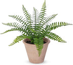 Artificial Boston Fern Potted Plant, 9" Small Fake Plants in Pot, Faux Fern Plant Greenery for Home Office Farmhouse Living Room Bathroom Kitchen Tabletop Desk Shelf Decoration
