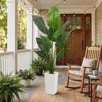 Aveyas 6ft Artificial Bird of Paradise Tree for Home Decor, 6 Feet Faux Floor Plant Fake Silk Banana Leaf Tropical Trees with Pot for Indoor Outdoor House Living Room (6 ft Tall Including Raised Pot)