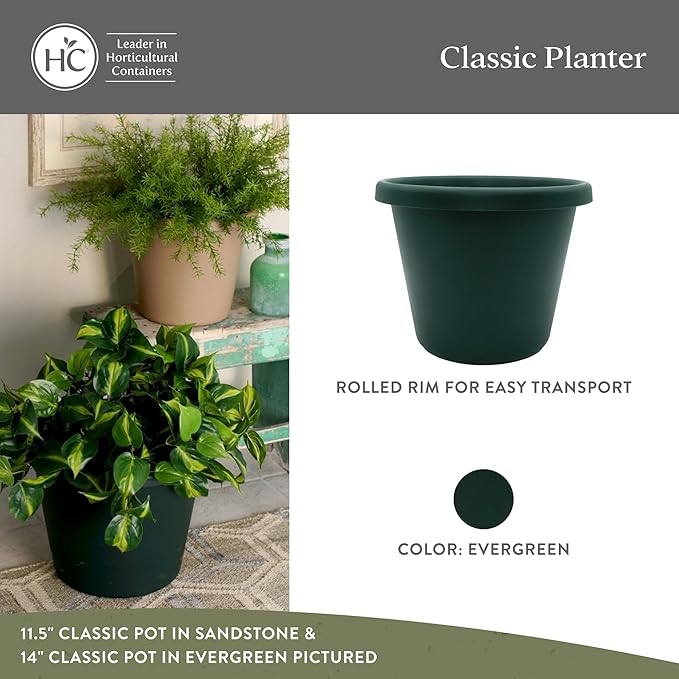 The HC Companies Classic Round Plastic Plant Pot w/Rolled Rim - Lightweight & UV Resistant Flower Pot for Herbs & More - Outdoor & Indoor Plant Pots w/Drainage (7 inch Evergreen, Pack of 1)
