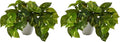 Nearly Natural 9in. Pothos Artificial Plant in White Planter (Real Touch) (Pack of 2)