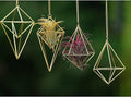 4Pcs Hanging Metal Air Plant Holder with Chain Mini 2 Style Tillandsia Geomitric Airplants Hanger Air Fern Cage Decor for Home and Office