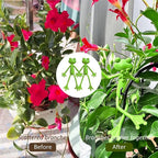 (5Pcs) Frog Plant Stand, Frog Plant Holder, Flower Pot Hugger Plant Climbing Fixture Clips, Cute & Stable Support, Make Your Plants Stand More Upright, For Indoor, Outdoor