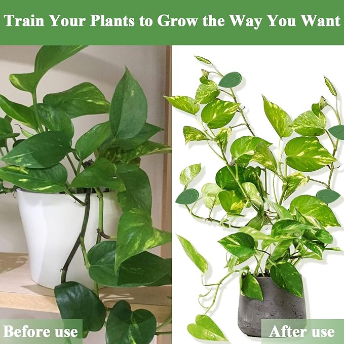 60PCS Plant Wall Clips with Self Adhesive Stickers - Vine Clips for Climbing Plants, Leaf Shaped Invisible Plant Support for Pothos Ivy, Indoor Outdoor Cable Management