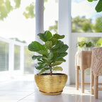 Ceramic Planter 13 Inch - Indoor Plant Pot with Drainage Hole and Saucer Large Ceramic Pot for Plants Mid-Century Decorative Modern Outdoor Flower Pot for Home Decor Gold
