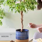 Seed Storage Organizer, 4 Compartment Seed Storage Box with Safety Lock, Metal Seed Box Container with 2 Pens, 20 Plant Labels and 50 Seed Envelopes for Seed Packet & Small Garden Tool, White