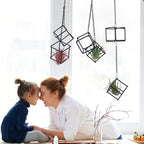 6 Pack Metal Hanging Air Plant Holders - Geometric Black Cube Tillandsia Hangers with Long Chains, Wall or Ceiling Mount for Small Air Plants, Home & Office Boho Decor (Individual or Combined Use)
