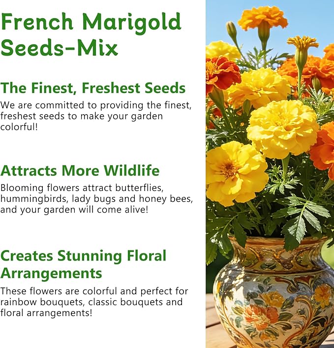 LUOJIBIE French Marigold Seeds for Planting Outdoors, Giant Marigold Flowers Seeds Bulk for 2026, Over 4,000+ Seeds Prolific Blooms, Ideal for Vibrant Pollinator Gardens