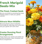 LUOJIBIE French Marigold Seeds for Planting Outdoors, Giant Marigold Flowers Seeds Bulk for 2026, Over 4,000+ Seeds Prolific Blooms, Ideal for Vibrant Pollinator Gardens