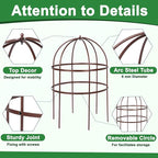 4 Pcs Jardin Bird Cage Plant Support 24" H Large Sturdy Grow-Through Flower Support Peony Cage Climbing Plant Support Trellis Sculptural Garden Decor for Perennial Flowers (Vintage Gold)