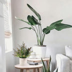 2 Pack Small Fake Plants Christmas Greenery Eucalyptus Potted Artificial Plants for Shelf Desk Home Bathroom Farmhouse Room Coffee Table Decor Christmas Decor(Purple)