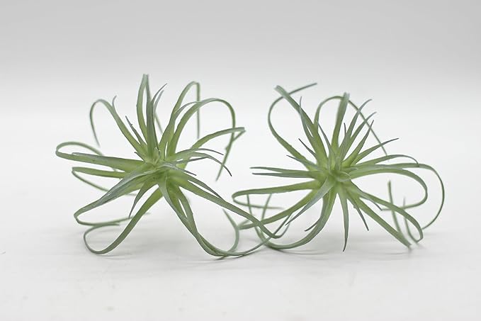 Small Artificial Air Plants Look Real Succulants Plant Faux Greenery Bromeliads for Garden Home Office Decoration (Green Flocking Air Plants)