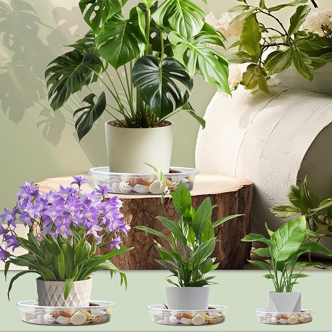 SupKing 2 Pack 12 Inch Plant Saucers Drip Tray Heavy Sturdy Plastic Flower Pot Saucers for Indoor,Clear Plastic Planter Water Tray for Plant Pots Liners (12''-Clear)