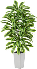 Artificial Yellow Dracaena Tree - 5FT Tall Fake Plants with White Tall Planter - Artificial Plants Indoor Floor Plant in Pot - Large Tropical Fake Yucca Potted Tree for Home Office Living Room Decor