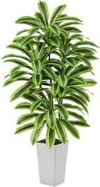 Artificial Yellow Dracaena Tree - 5FT Tall Fake Plants with White Tall Planter - Artificial Plants Indoor Floor Plant in Pot - Large Tropical Fake Yucca Potted Tree for Home Office Living Room Decor