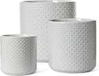 LE TAUCI Ceramic Pots for Plants, 10/8/6 Inch Indoor Planters with Draiange Hole, Silicone Plug & Mesh Pad, Modern Rasied-Dots Pots for Home Office, Set of 3, Glossy, Star Gray