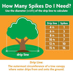 Miracle-Gro Fruit & Citrus Plant Food Spikes - 10-15-15 NPK Easy-To-Use Nutrition for Fruit and Citrus Trees, Plant Fertilizer, 12 Spikes, 3 lb.