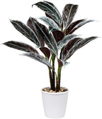 Briful 24.8" Artificial Cordyline Fruticosa Plant Decorative Indoor Tropical Fake Plants in White Pot for Home or Office