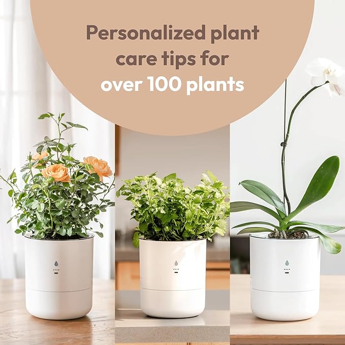 8 Inch Smart Self Watering Planter with WiFi Bridge & App Control – AI Plant Care System with Sensors, Automatic Watering, Alerts – Modern Indoor Planter for Houseplants | Cordless