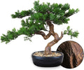 Artificial Bonsai Tree 16" Tall with Realistic Wood and Ceramic Pot, Fake Plants for Home, Bedroom and Office Desk, Japanese Decor