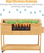 Raised Herb Garden Planter Indoor Outdoor with Wheels for Basil, Parsley, Rosemary, Thyme & Mint , Wooden Seed Starter Grow Box with Cover, Gardening Gifts for Women, Mom, Plant Lovers (Wood)