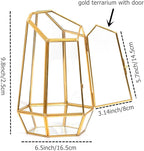 Golden Geometric Glass Terrarium with Door - 9.8" Tall Irregular Clear Planter for Succulents,Ferns,Moss,Cacti | Indoor Fairy Garden,Tabletop Display,Wedding Home Decoration (Plants Not Included)