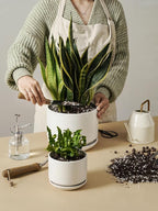 LE TAUCI Ceramic Plant Pots, Set of 2, 8+10 Inch Plant Pots Indoor with Drainage Hole & Saucer, Sturdy Planters for Indoor Plants, Modern Minimalist Decor for Snake Plant, Monstera, White