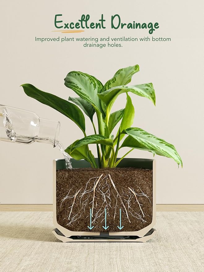 LE TAUCI Ceramic Pots for Plants, 6.8 Inch Plant Pots with Drainage Hole & Saucer, Modern Planter for Indoor Plants, Stable & Durable, Perfect for Living Room or Office Decor, Forest Green