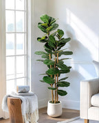 Artificial Fiddle Leaf Fig Tree in Modern White Planter, 5ft Large Fake Tree with 3 Sturdy Trunks, Fake Plants Faux Fig Tree with Moss, Lifelike Tall Artificial Plants Indoor for Office Home Decor