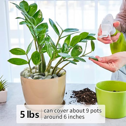 YISZM 5LB Succulent and Cactus Jade Pebbles, 3/8 Inch Natural Decorative Polished Stones, River Rocks for Indoor Plants, Vases, Planters and Outdoor Gardening