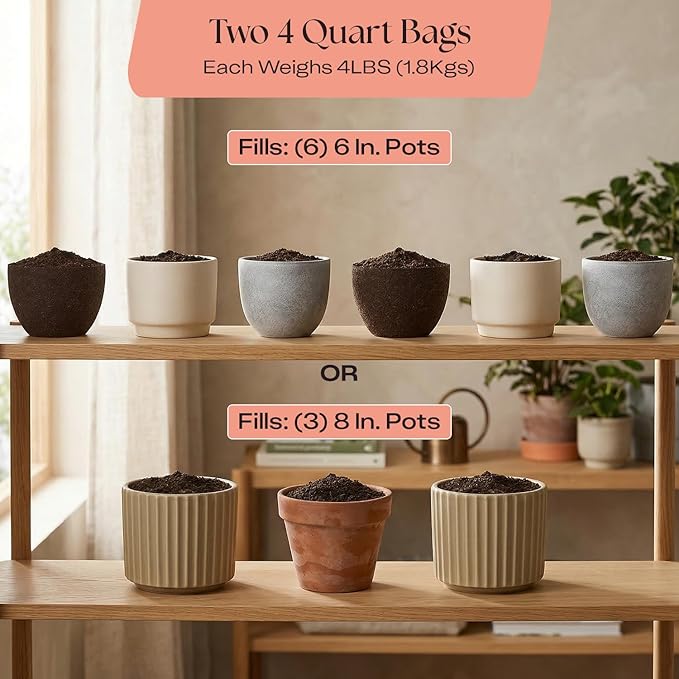 Rosy Soil Cactus and Succulent Potting Soil Mix for Houseplants - Fast Draining Organic Potting Soil for Succulents, AloeVera, Indoor Plant - Root Boosting for Drought Tolerant Growth, Pack of 2