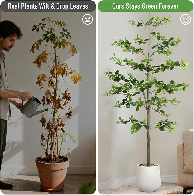 Faux Black Olive Tree 6FT,Artificial Tall Plant with White Planter and Stone,Potted Fake Tree with Natural Trunk,Artificial Plants Indoor for Home Office Living Room Corner Decor