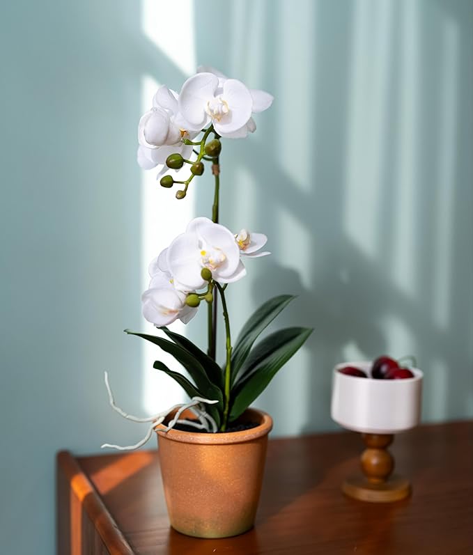 Avoeco Artificial Real Touch Orchid Plant – 15" Faux Phalaenopsis in Pot – Highly Realistic Silk Orchid Flower & Leaf Texture for Home, Office,Shop & Wedding Décor (1 White, 15“)