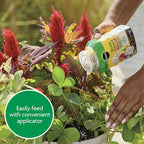 Miracle-Gro Shake 'N Feed All Purpose Plant Food - Outdoor and Indoor Plant Food for In-Ground and Containers, Feeds for up to 3 Months, 1 lb.