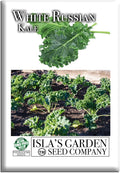 White Russian Kale Seeds (Brassica Napus) – 1000+ Heirloom Non GMO Seeds by Isla’s Garden Seeds, Tender Mild Leaves, Cold Hardy Cool-Season Green, Easy Home Garden Variety, Small & Fun Gift Idea