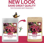 Coleus Rainbow Mix Seeds for Planting – Coleus Colorful Flower Seeds – Non-GMO Heirloom Seeds for Outdoor & Indoor Garden, Containers, Borders, Patios (Coleus scutellarioides)
