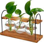 Plant Terrarium with Wooden Stand, The Ultimate Gift for Plant Lovers, Propagation Station with Retro Glass Bulbs, Creating a Stunning Tabletop Display of Hydroponic Greenery in Any Home or Office